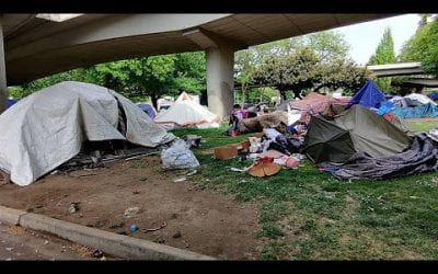 How Policy and Enforcement Shape Unsheltered Homelessness in Lane County